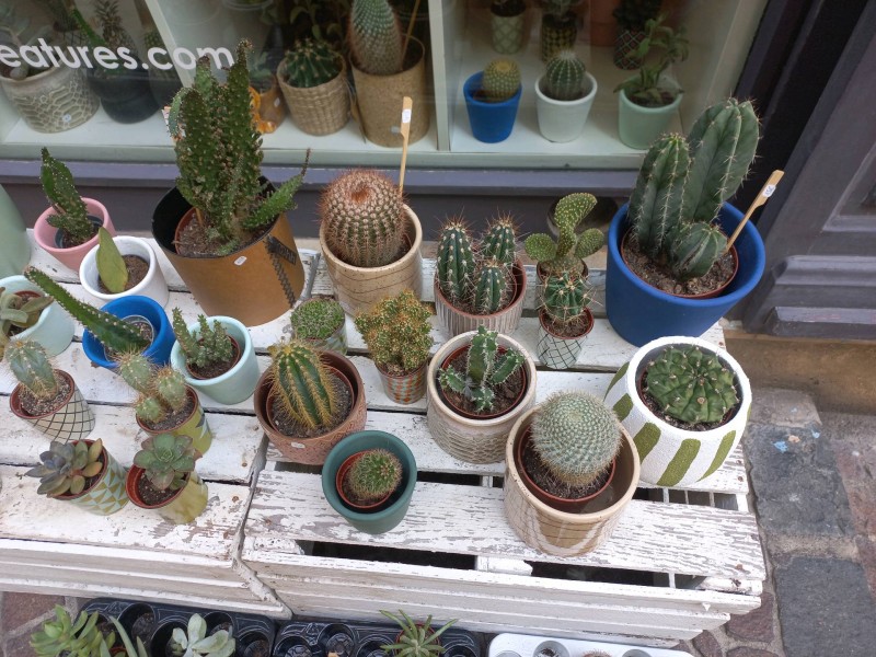 Où trouver des objets de décoration originaux au centre-ville de Montpellier quartier écusson dans l'Hérault