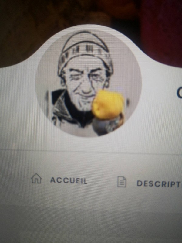 Où manger les meilleures glaces de Sète Sète  Chez Alphonse et fils