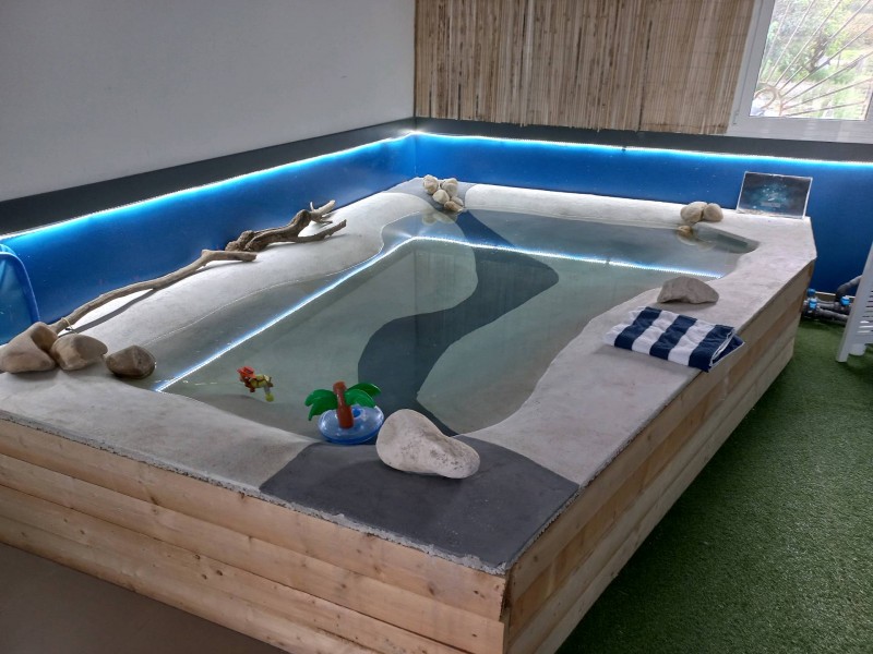 Création d'une piscine bassin style lagon avec plage dans villa à Grenoble dans l'Isère