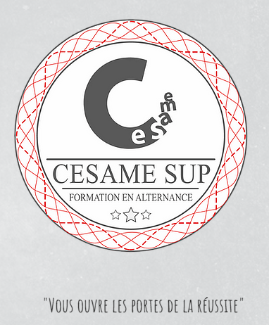 Où réaliser son Bac pro Commerce sur Montpellier proche de Castelnau le Lez ?