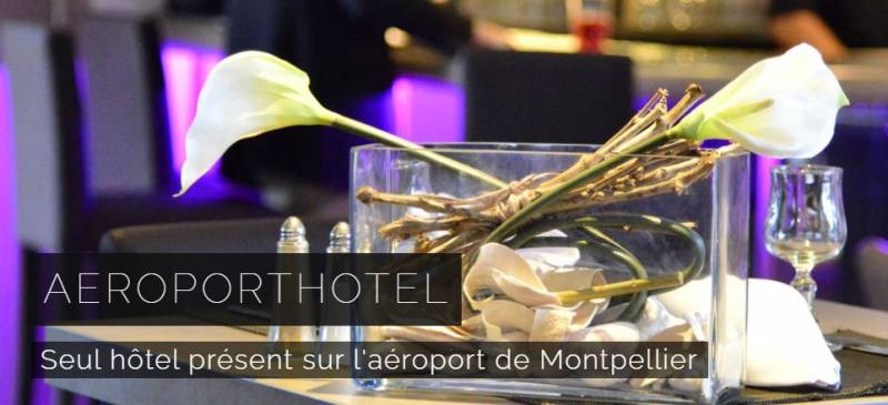 Aeroport Hotel Séminaire coworking repas de groupe Montpellier proche de la grande motte
