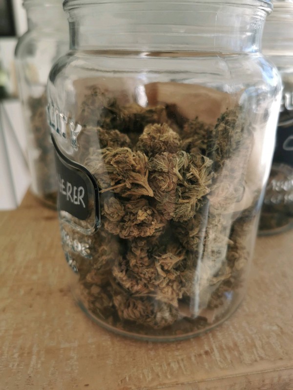 Où acheter de la fleur de CBD pour se sevrer du cannabis sur Castelnau-le-Lez proche de Montpellier