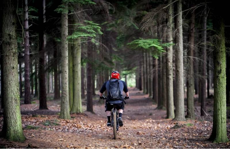 Randonnée à vélo : quels sont les tarifs en moyenne ?