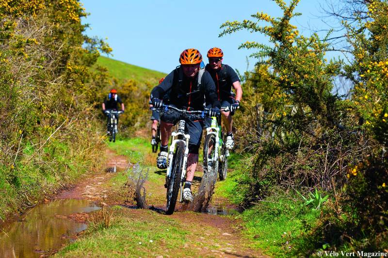Le Kerala à vélo : partir à la découverte de ses merveilles